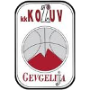 https://img.ydgroupcn.com/img/basketball/team/4b06fe02aaa7da5901e5698485059da0.png